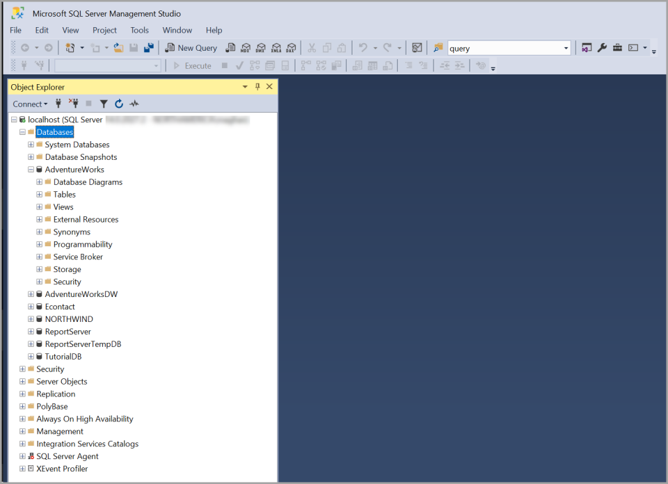 screenshot of Microsoft SQL Server
